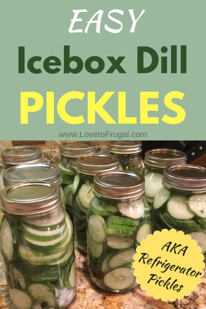 Easy Icebox Dill Pickles