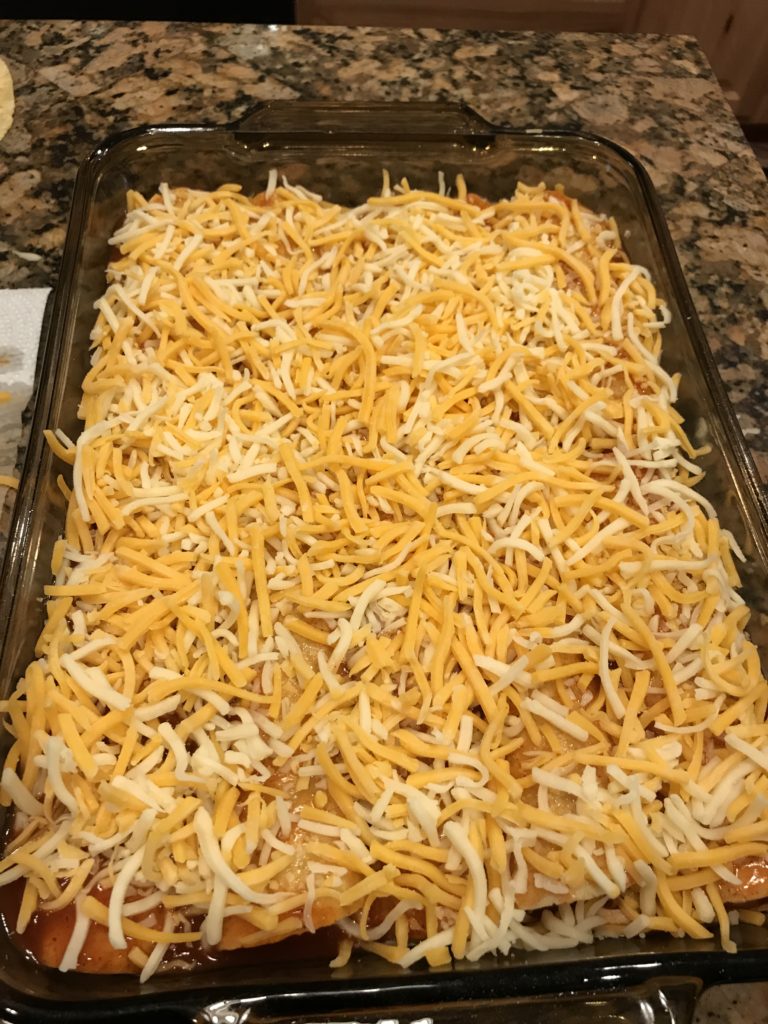 Easy Salsa Chicken Enchiladas