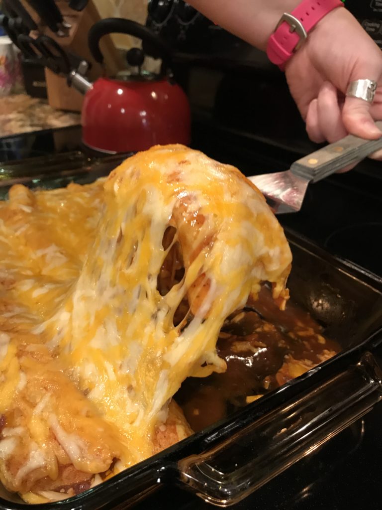 Easy Salsa Chicken Enchiladas