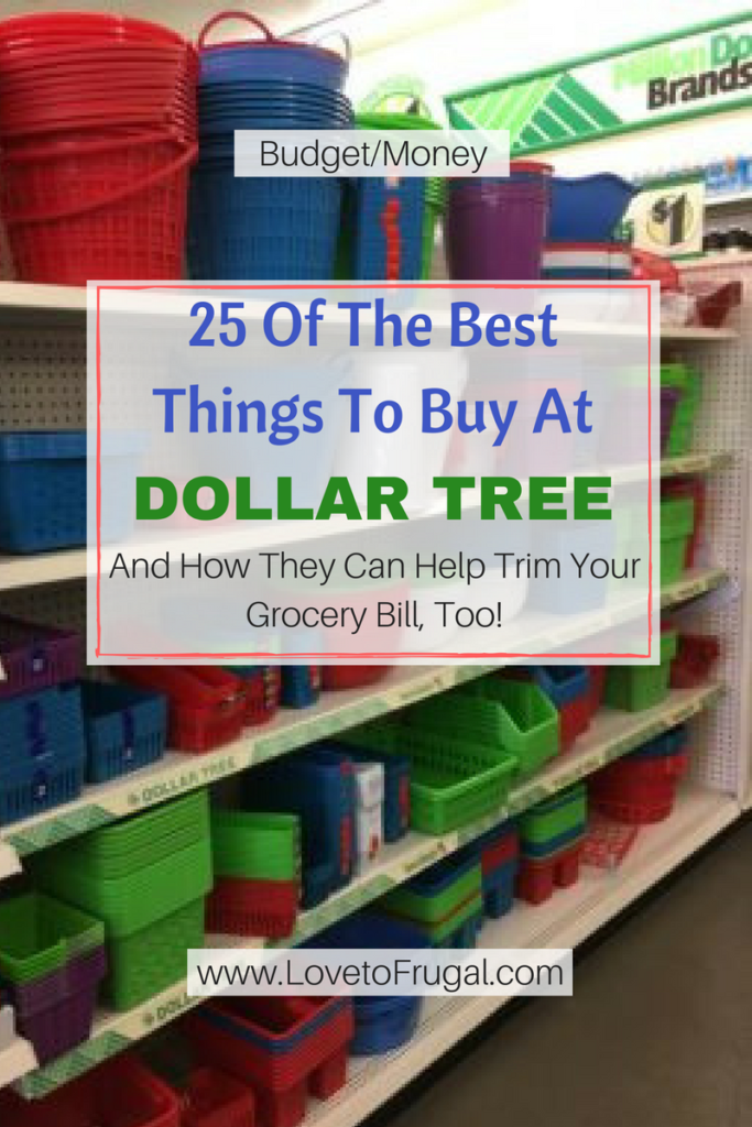 Best Things To Buy At Dollar Tree