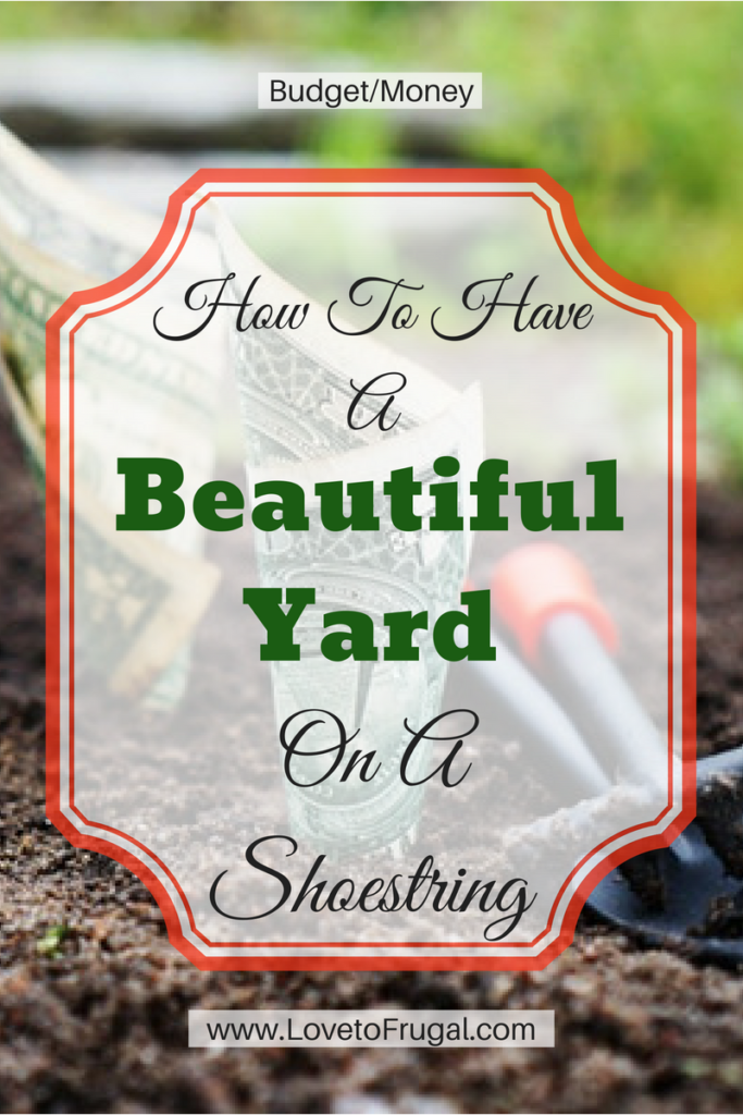 beautiful yard on a shoestring