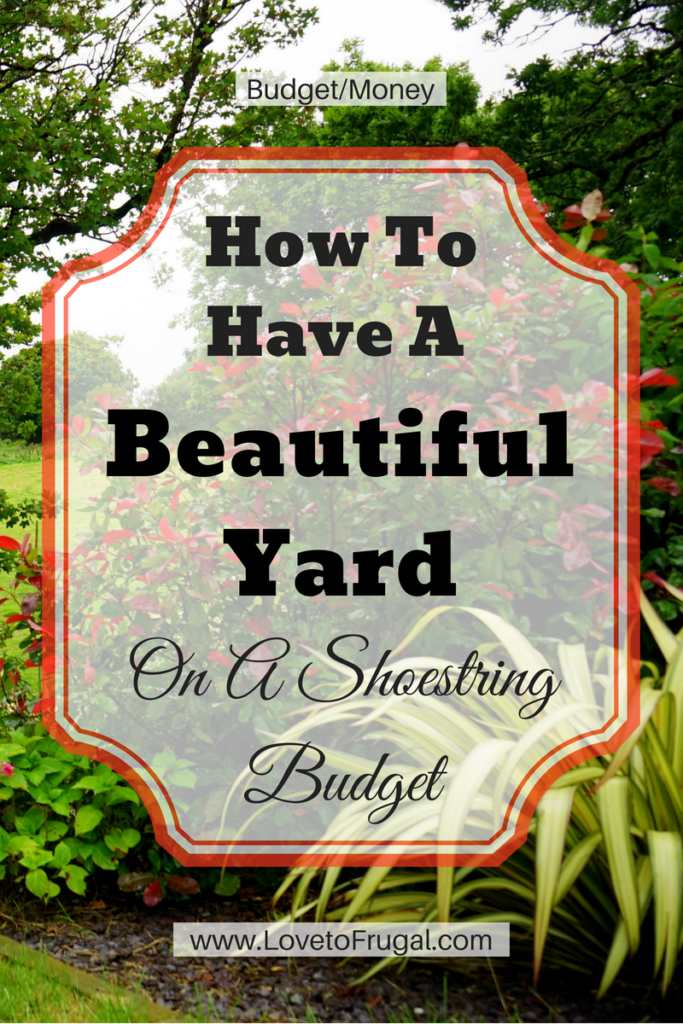 beautiful yard on a budget