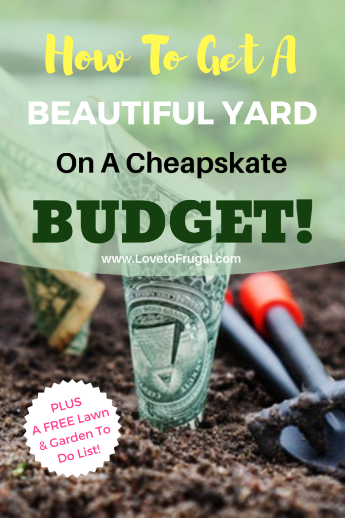 beautiful yard on a budget