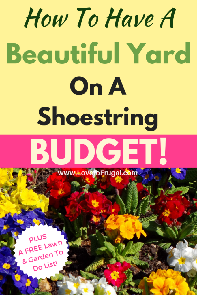 beautiful yard on a budget