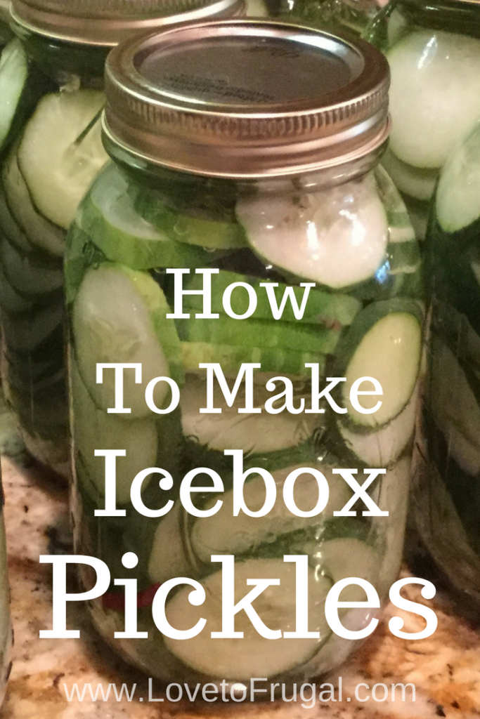 Easy Icebox Dill Pickles