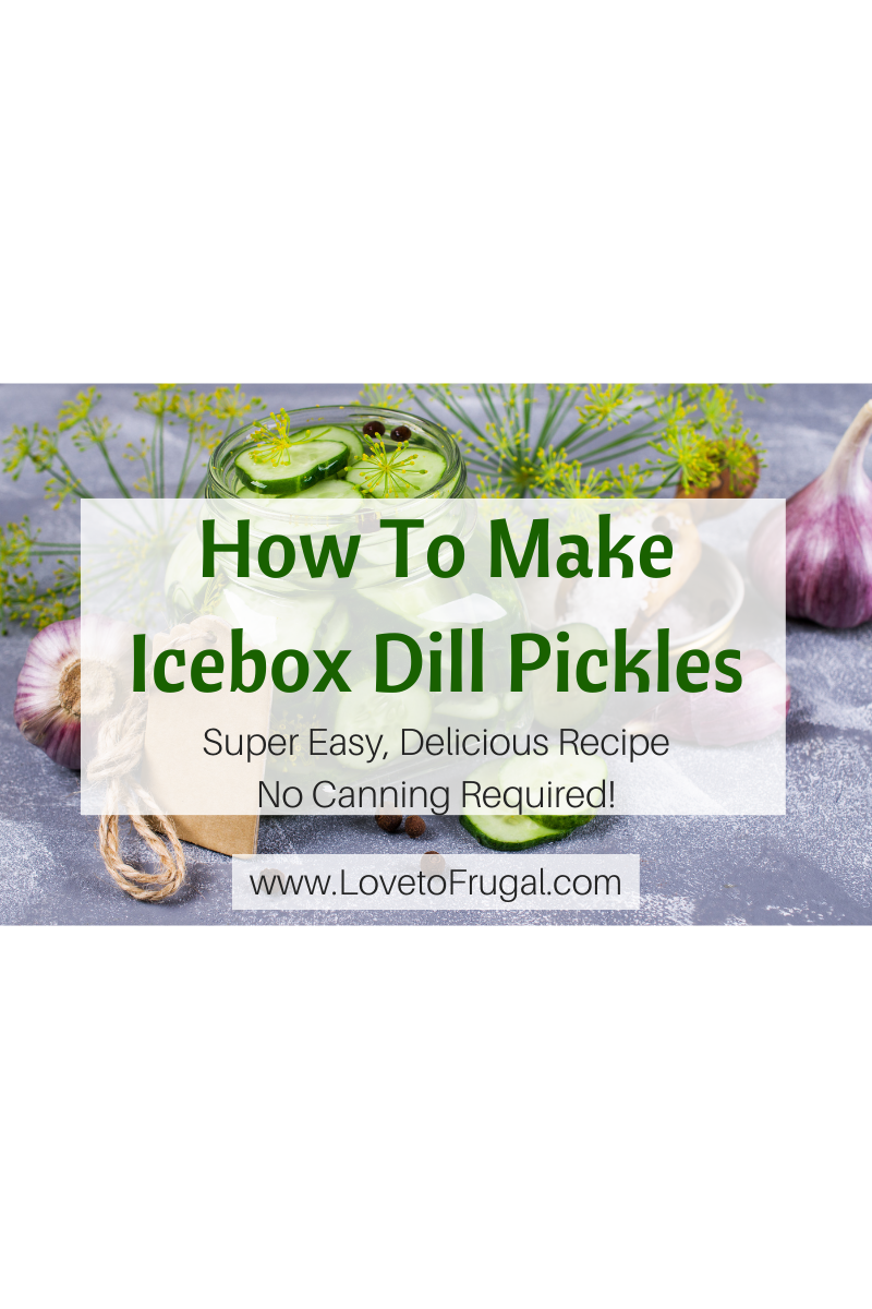 Easy Icebox Dill Pickles