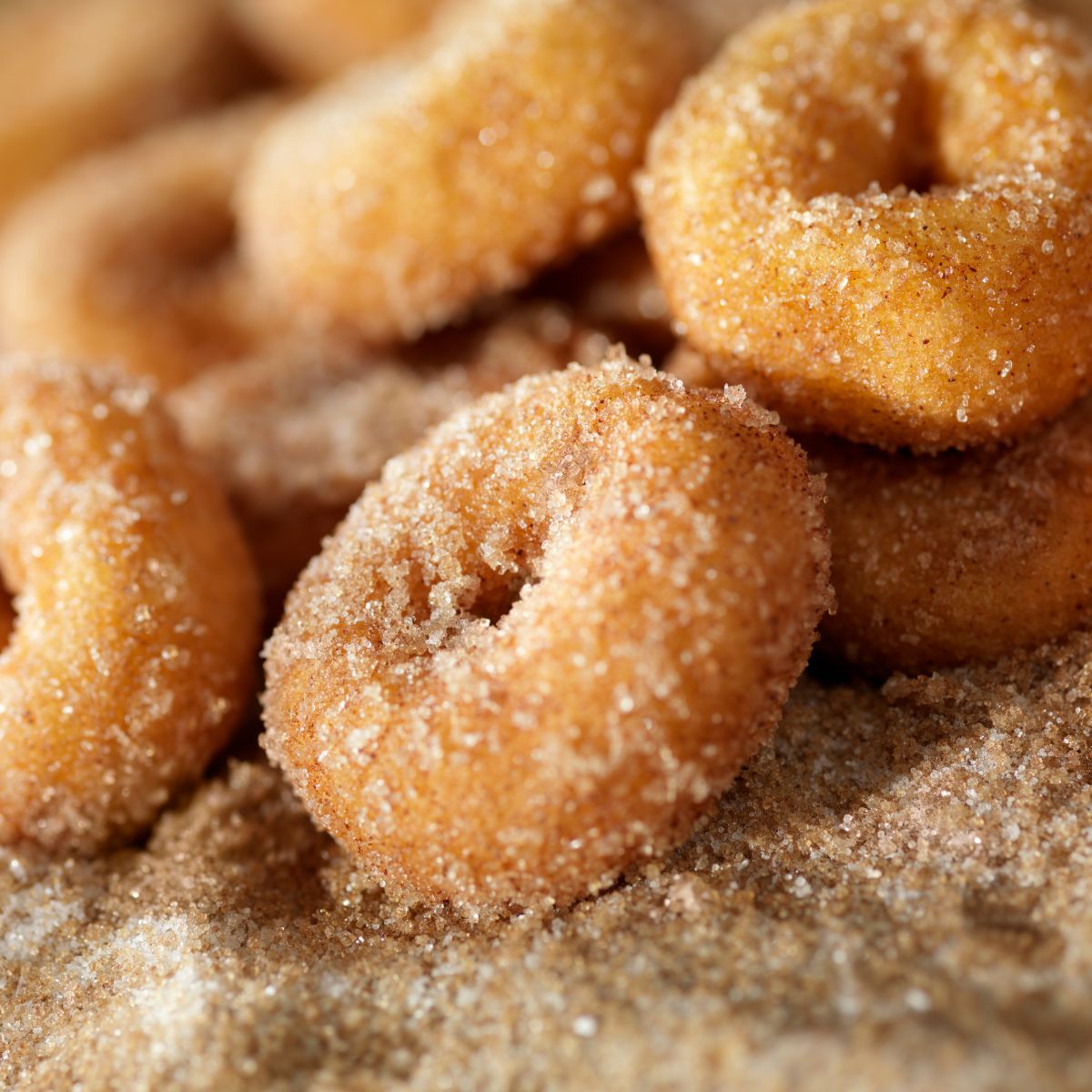 Canned Biscuit Donuts-Easy, Frugal Recipe