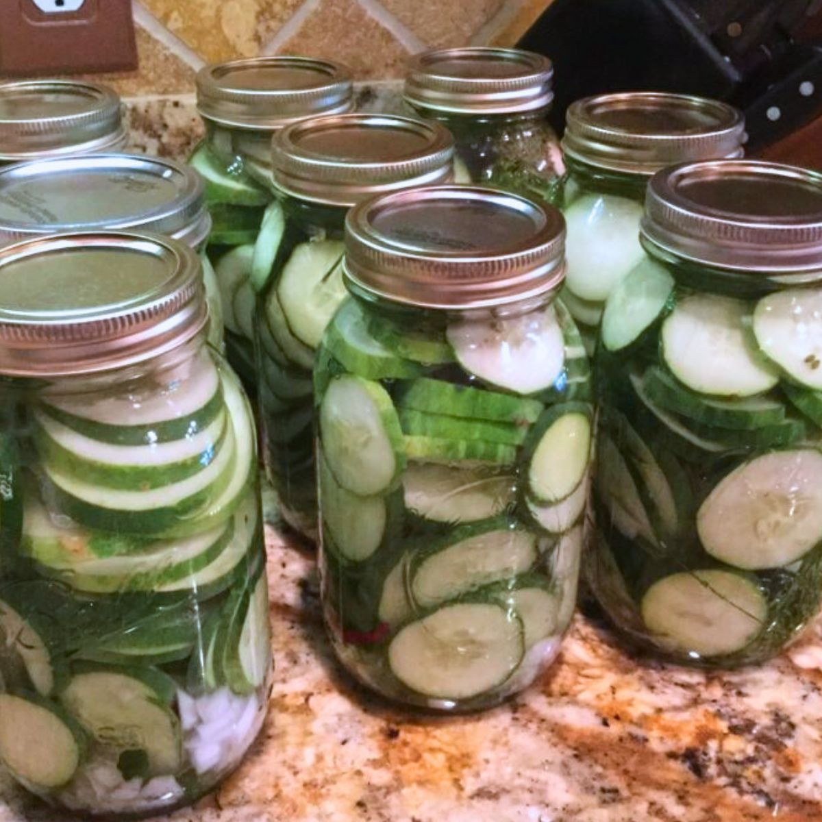 Easy Icebox Dill Pickles