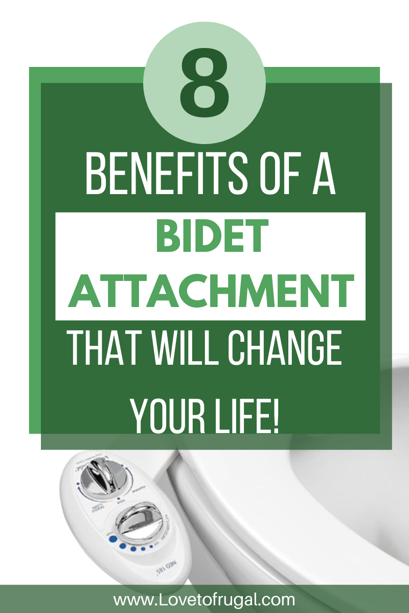 toilet with bidet attachment