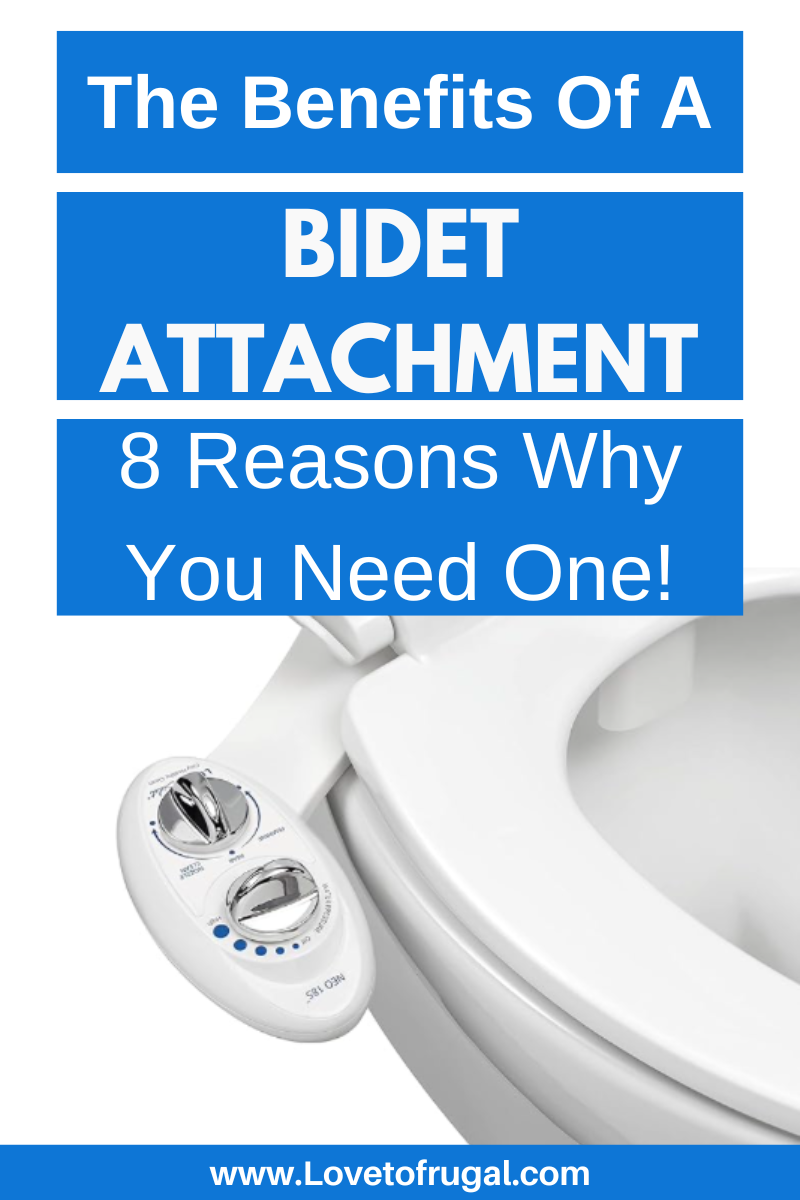 toilet with bidet attachment