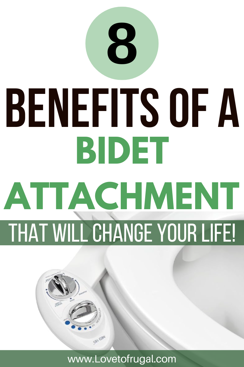 toilet with bidet attachment