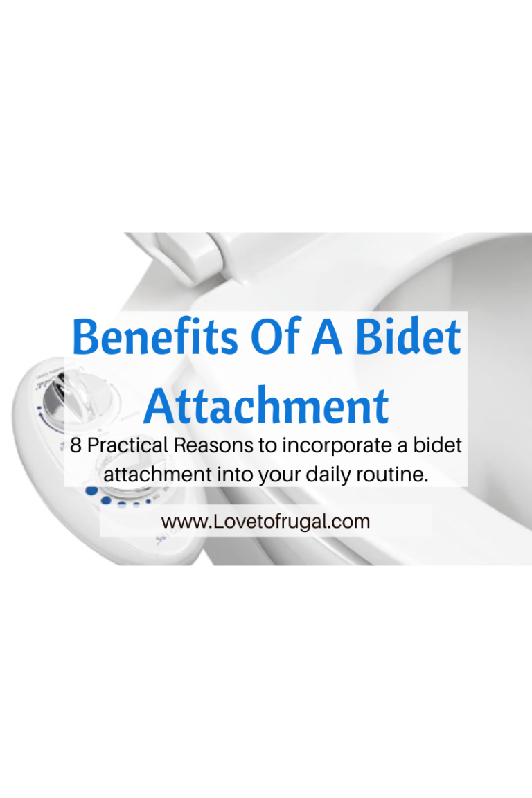 toilet with bidet attachment