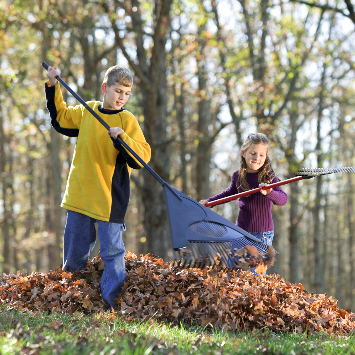 kids raking leaves