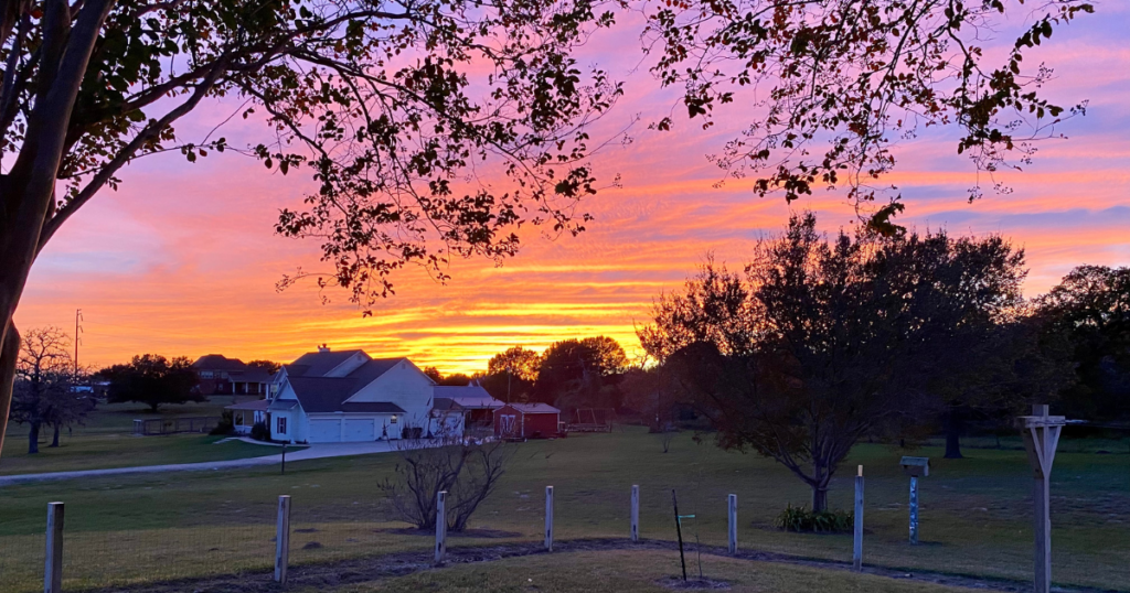 Colorful Texas sunset viewed from our backyard patio at the end of the day.